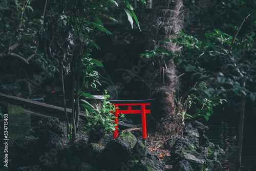 photo