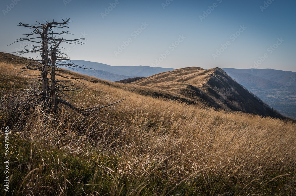 landscape in the Bieszczady mountains landscape in the Bieszczady mountains