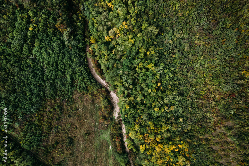 Aerial top down view of the empty country road between green and yellow trees in the autumn forest. Drone shot of a country road in forest. Aerial top down view of the empty country road between green and yellow trees in the autumn forest. Drone shot of a country road in forest.