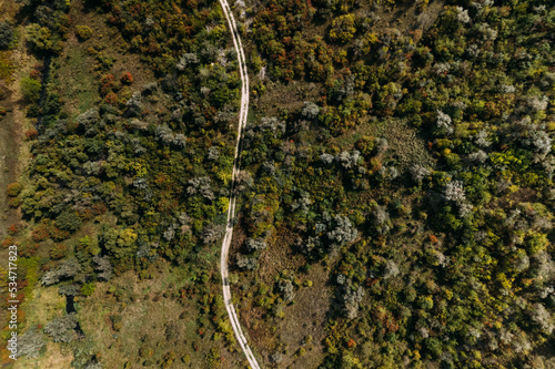 Aerial top down view of the empty country road between green and yellow trees. Drone shot of a country road.
