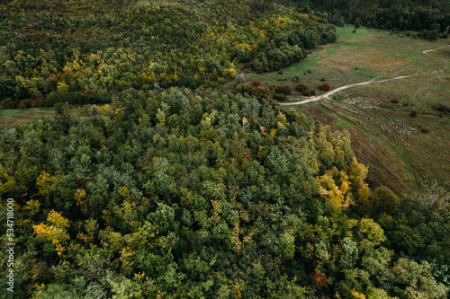 Aerial top view of the empty country road between green and yellow trees on the autumn field near the forest. Drone shot of a country road in forest.