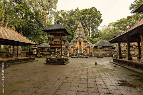Monkey Forest temple in Ubud, Bali, Indonesia © Natalia