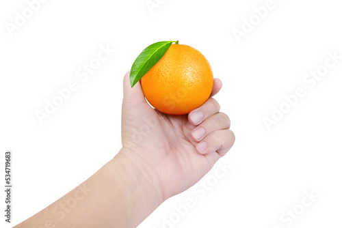 a man's hand holding an orange isolated on a white background