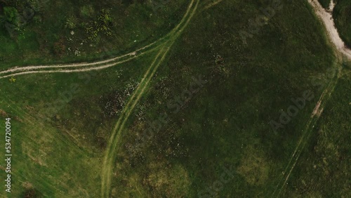 Cinematic aerial top down view of the empty country road between green and yellow trees on the autumn field near the forest. Drone shot of a country road in forest.