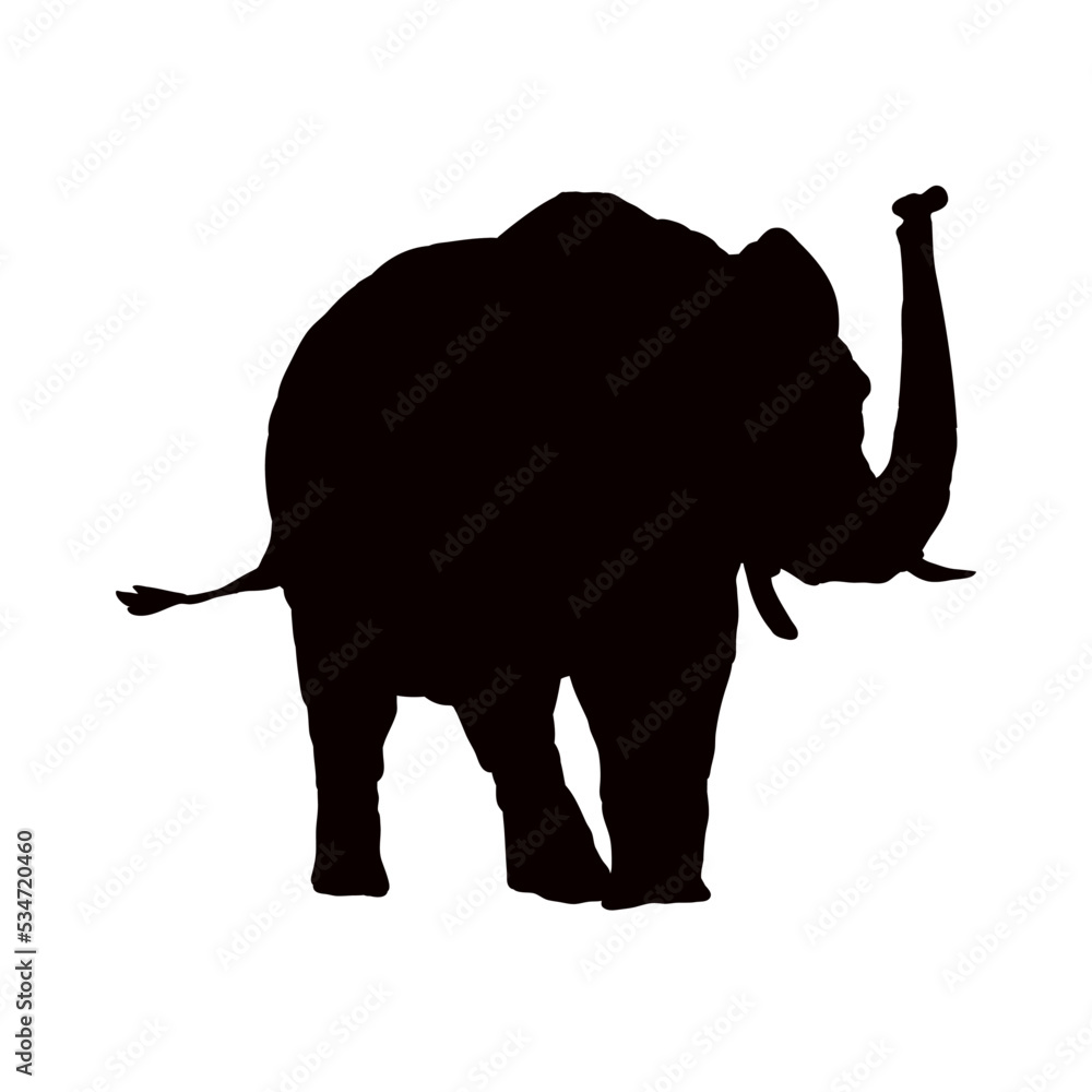 sylwetka słonia z podniesioną trąbą, słoń - ilustracja wektorowa - obrazy, fototapety, plakaty 