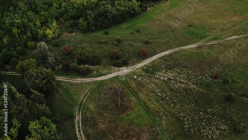 Cinematic aerial top down view of the empty country road between green and yellow trees on the autumn field near the forest. Drone shot of a country road in forest.