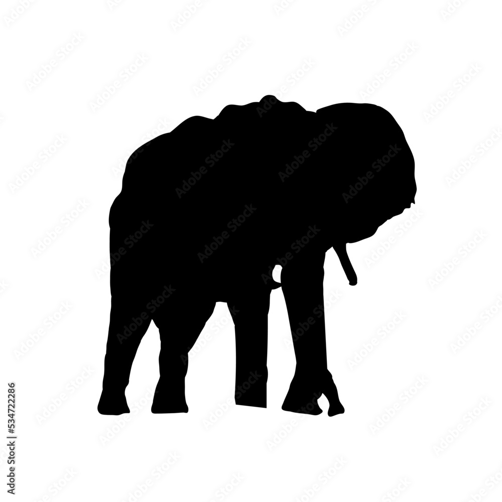  sylwetka słonia z podniesioną trąbą, słoń - ilustracja wektorowa - obrazy, fototapety, plakaty 