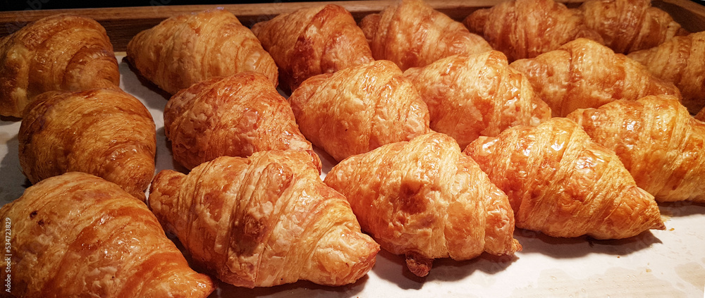 Fresh Baked Croissants. Warm Fresh Buttery Croissants and Rolls. French and American Croissants and Baked Pastries Fresh Baked Croissants. Warm Fresh Buttery Croissants and Rolls. French and American Croissants and Baked Pastries