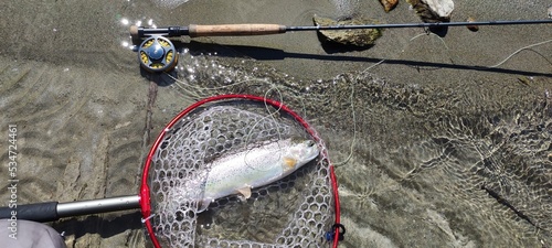 badminton racket and shuttlecock