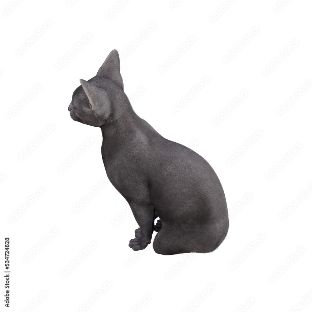 Sphynx cat isolated on transparent background. PNG File, 3D Rendering Illustration.
