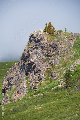 Lonely stone cliff with a cedar tree on the top. photo