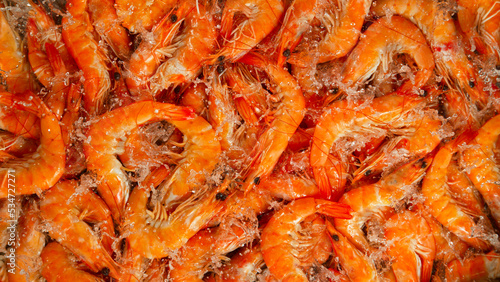 Falling prawns into water, ...