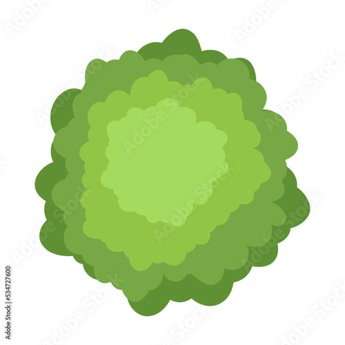 Tree crown. Top aerial view, green foliage, park, forest, garden plants isolated on white. Vector illustration for landscape, nature, ecology concept