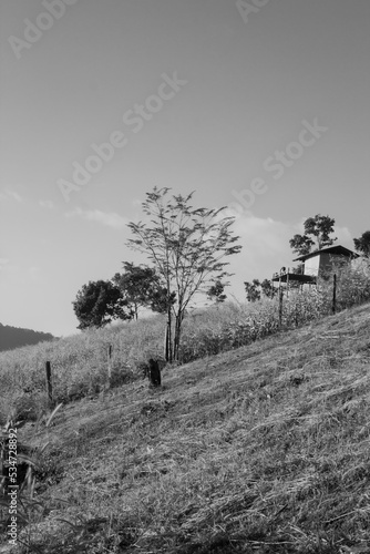 Wallpaper Mural Atmospheric photo of a mountain tribal village in Chiang Mai, Thailand. Torontodigital.ca