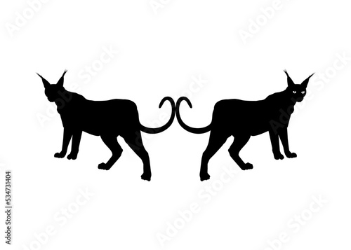 Pair of the Caracal Cat Silhouette for Logo, Pictogram, Website or Graphic Design Element. Vector Illustration