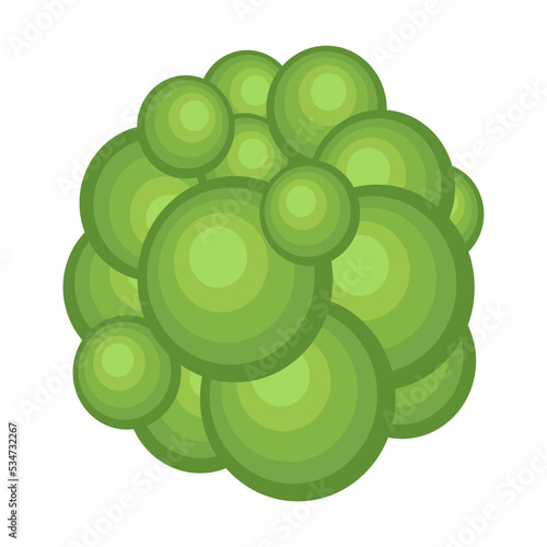 Tree crown. Top aerial foliage, park, forest, garden plants isolated on white. Vector illustration for landscape, nature, ecology concept