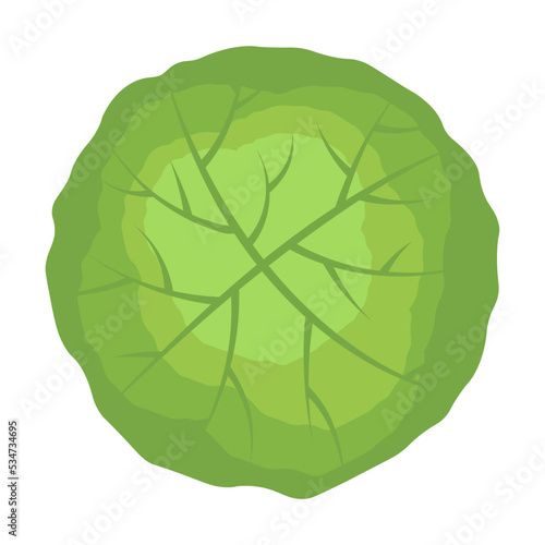 Tree crown. Park, forest, garden plants isolated on white. Vector illustration for landscape, nature, ecology concept