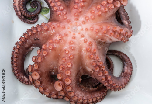 Fresh and delicious boiled octopus sashimi
