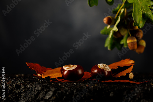 Herbstfoto mit Eicheln fotografiert