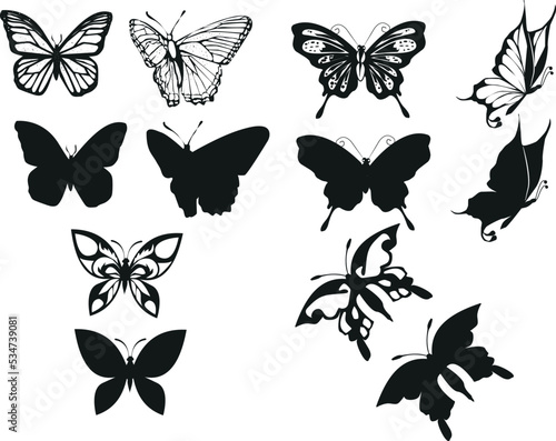 butterfly   beautiful butterflies