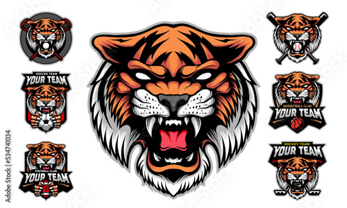 Tiger Head Mascot Logo with logo set for team football, basketball, lacrosse, baseball, hockey , soccer .suitable for the sports team mascot logo .vector illustration.