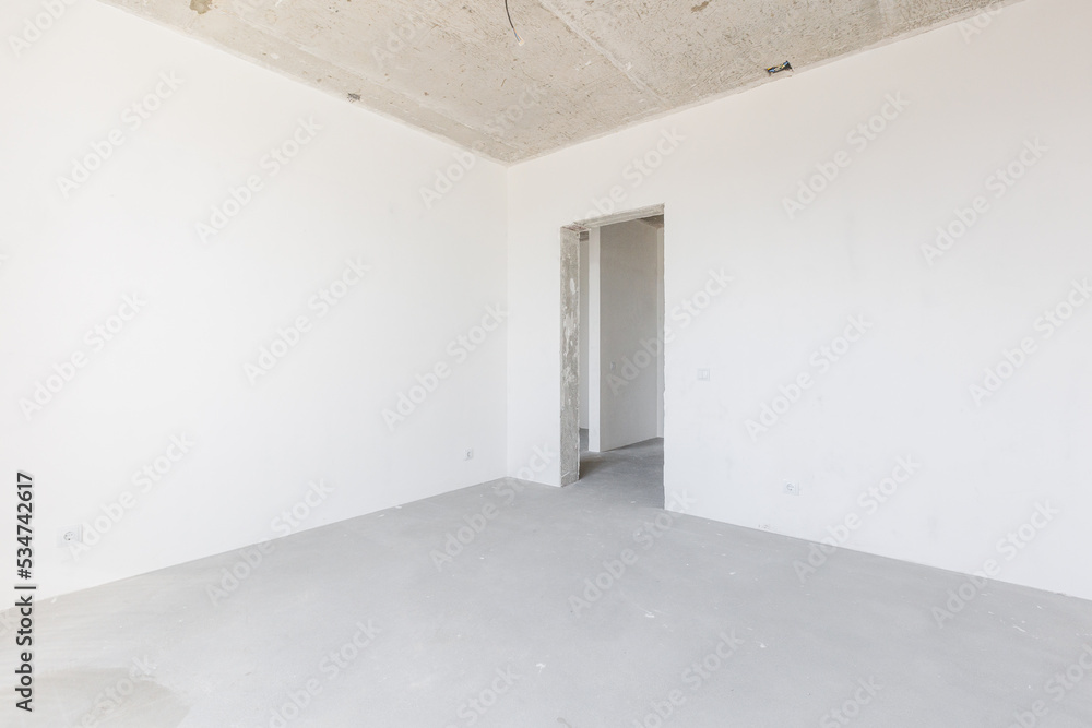 Obraz premium interior of the apartment without decoration in gray colors