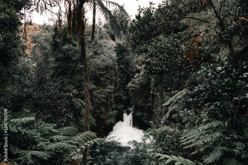 Small waterfall with lots of foam and small lake among the lush forest vegetation and cloudy sky in Okere, new zealand photo