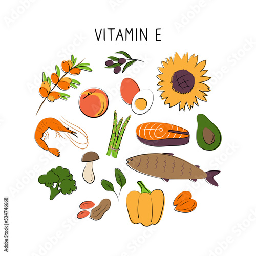 Fototapeta Naklejka Na Ścianę i Meble -  Vitamin E tocopherol. Groups of healthy products containing vitamins. Set of fruits, vegetables, meats, fish and dairy.