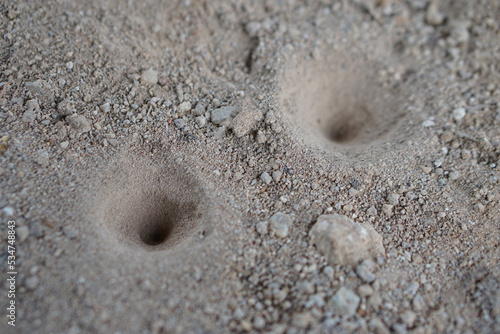 Closeup holes on soil ground. Holes of small insects, Ant lion's larva on the ground. Animal traps  photo