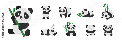 Cute pandas flat vector color illustrations set. Baby panda bear in different poses cartoon character. Sleepy and lazy animal. Asian wildlife. Rainforest, jungle mammal eating bamboo photo