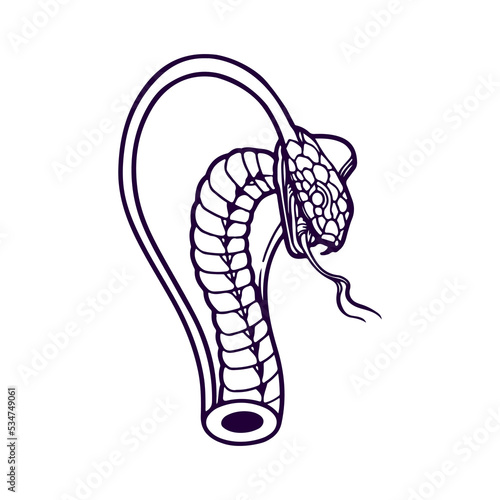 vector illustration of snake head concept