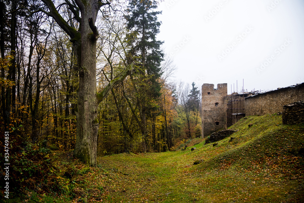 Ruins of medieval castle Zborov, Slovakia Ruins of medieval castle Zborov, Slovakia