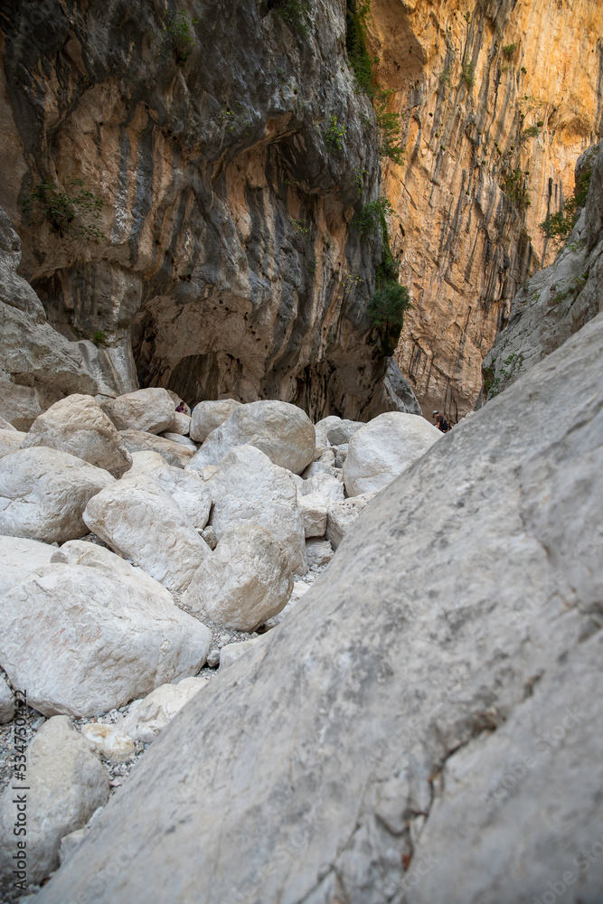 The Gorropu Canyon