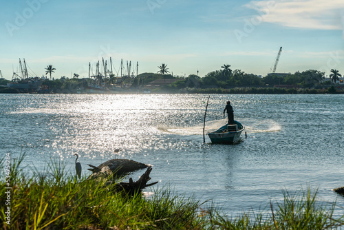 Pescador, atrapando peces con red al atardecer a la rivera de un río industrial con puerto de altura mientras unas garzas observan photo