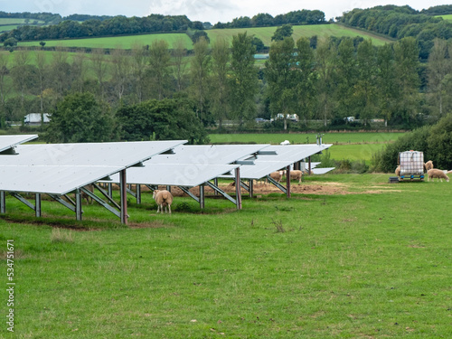 Sheep kept to graze farmland supporting arrays of solar panels. Areas underneath the panels would be otherwise prohibitively difficult to cut due to varying degrees of  accessibility