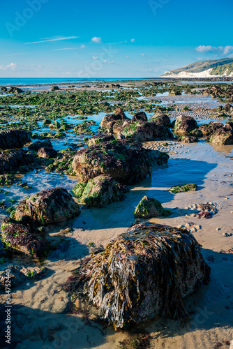 Obraz na płótnie Eastbourne beach on a late summer morning at low tide.