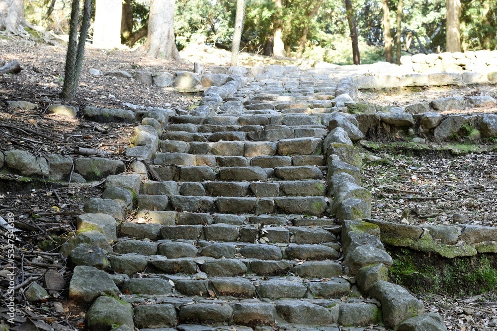 奈良公園の階段