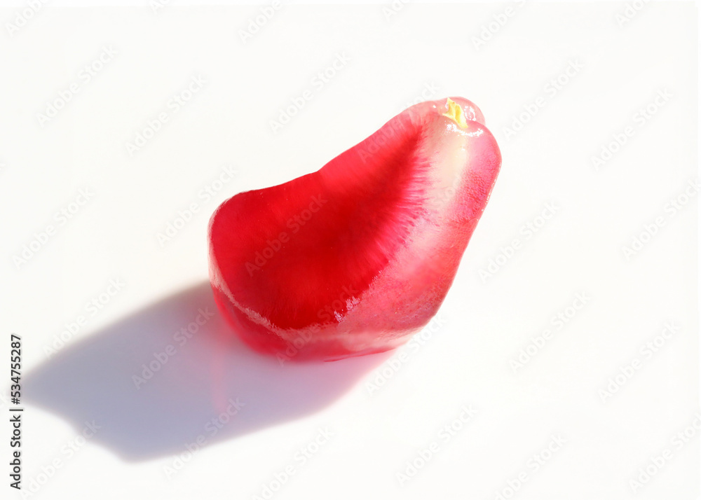 A pomegranate fruit pipe on a white background A pomegranate fruit pipe on a white background