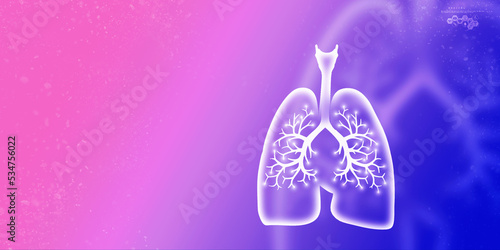 Healthy Human Lungs 2d illustration  © jijomathai