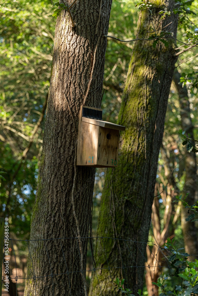 Birdhouse in the forest, Parque Biológico de Gaia, Portugal