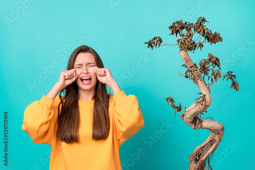 Photo of young adorable cute pretty woman wear yellow shirt crying nervous unhappy her flower dry up forget water isolated on aquamarine color background photo