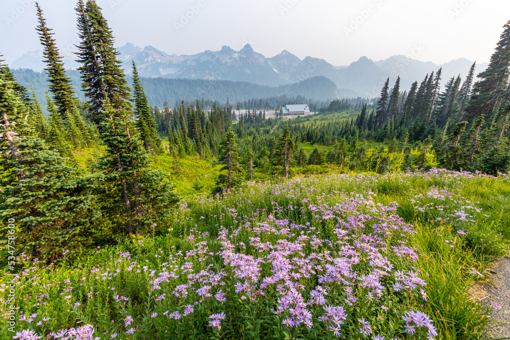 Mountain range on the horizon.
Beautiful valley near mountains slopes. Amazing view at the snowy peaks which rose against the blue sky.  Sunrise Area, Mount Rainier