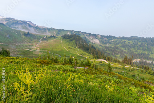 Mountain range on the horizon. Beautiful valley near mountains slopes. Amazing view at the snowy peaks which rose against the blue sky.  Sunrise Area  Mount Rainier