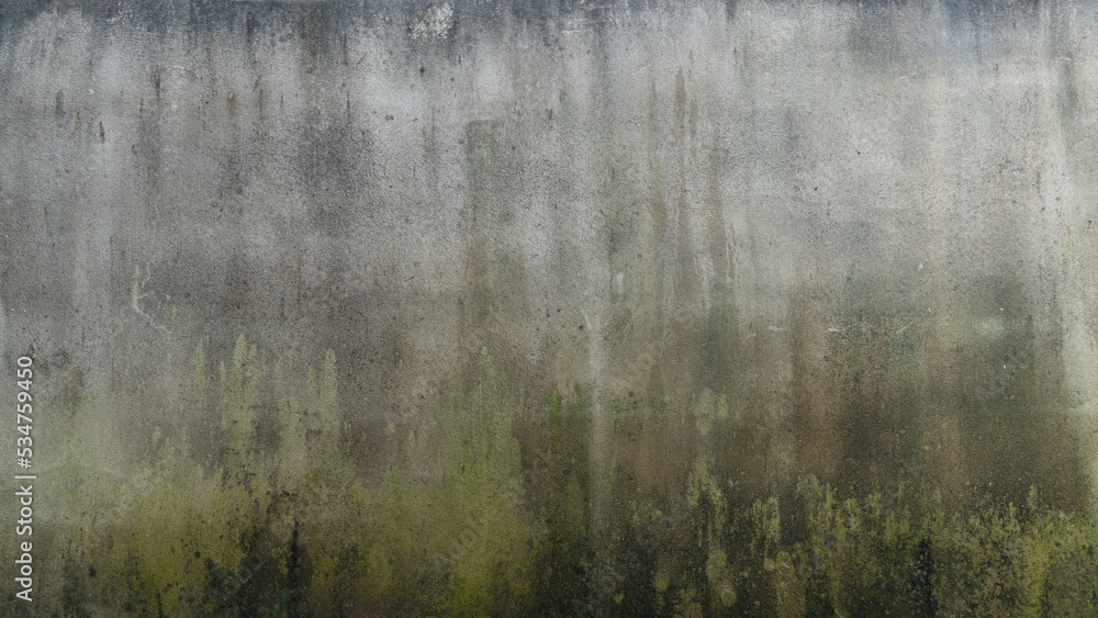 Naklejka premium ฺBackground and textured of old cenet wall with green moss clinging to the bottom. for use vintage of house.
