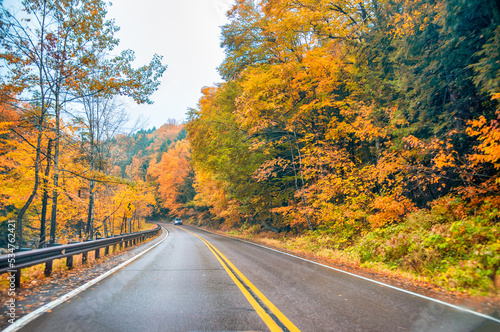 Road across the forest in foliage season on a rainy day