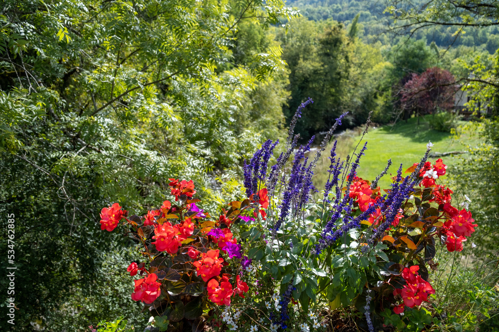 Obraz premium Typical scene with lavender and flowers in South France