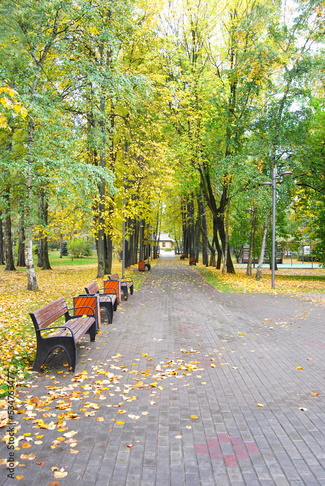 Wooden benches in the autumn park.Recreation and relaxation area. An empty bench for sitting. Brown wooden bench in the park. Fallen leaves on the road. Landscape in the autumn park.