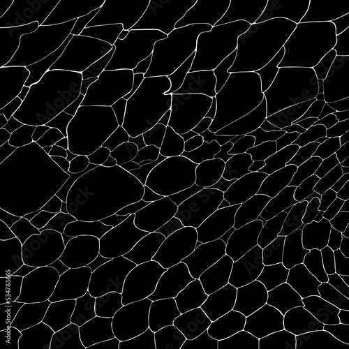 Crocodile or alligator skin print pattern seamless. Monochrome leather fashion, wallpaper or background and more.