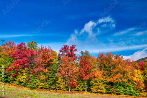 Fall Foliage across the rolling hills of Vermont. Peak fall color on a beautiful sunny day in New England