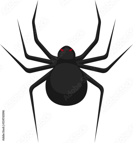 insect spider